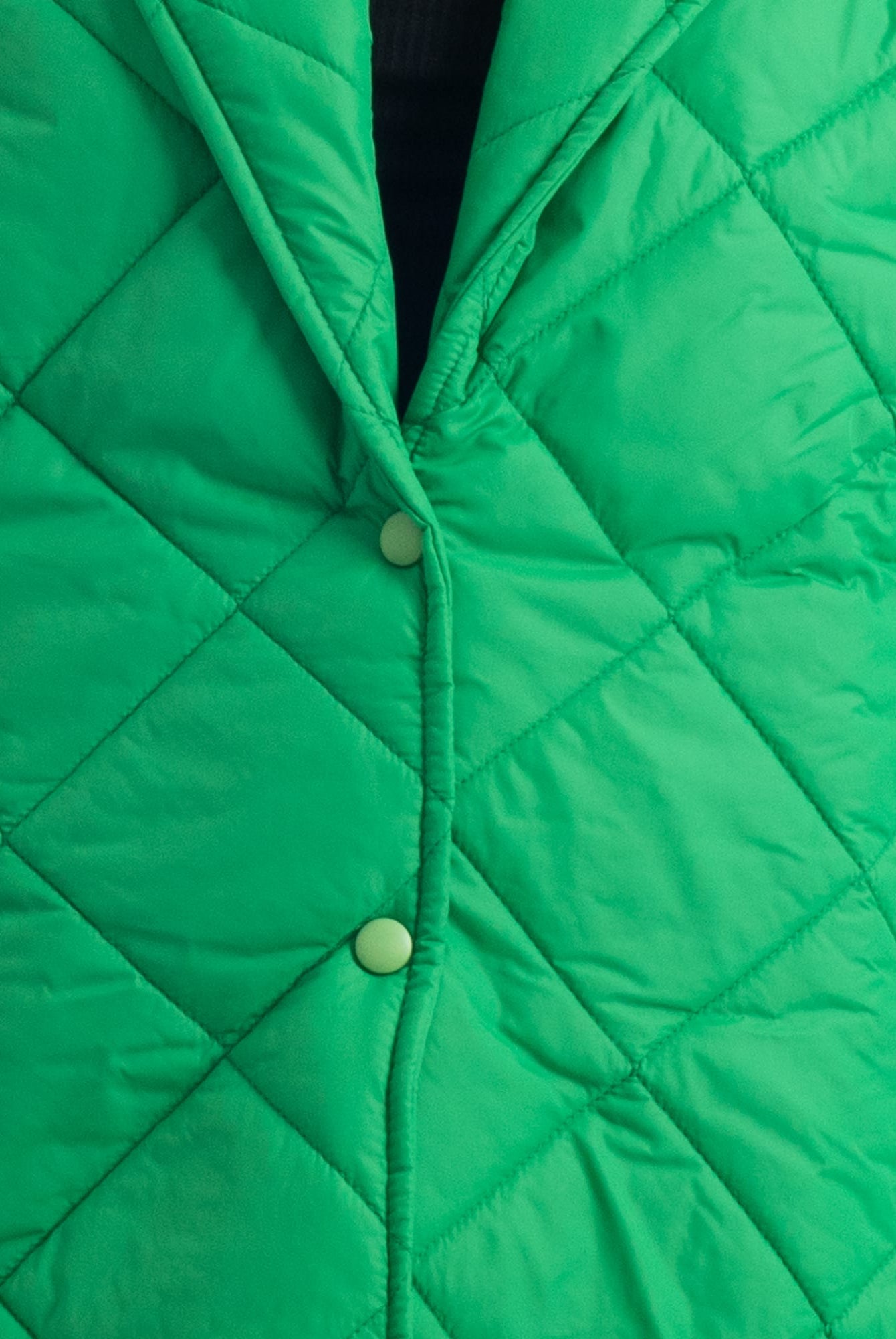 Cento Grammi con colletto in Volpe - Verde - Elisabettapanerai